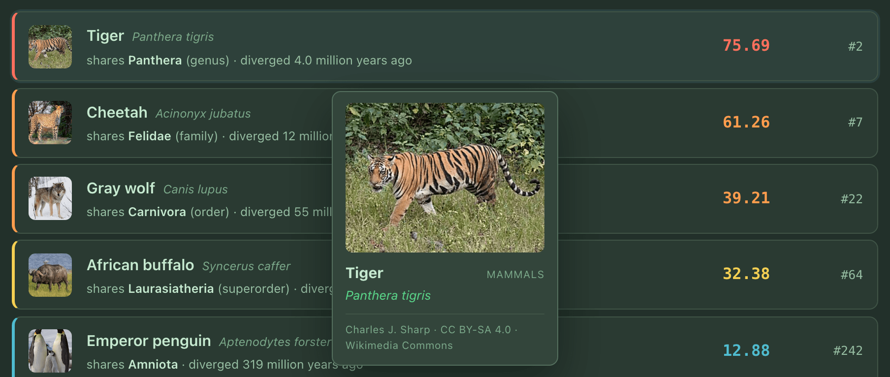 A floating card over the guess list showing a large photo of a tiger, its group Mammals, the name Panthera tigris and the photo credit.